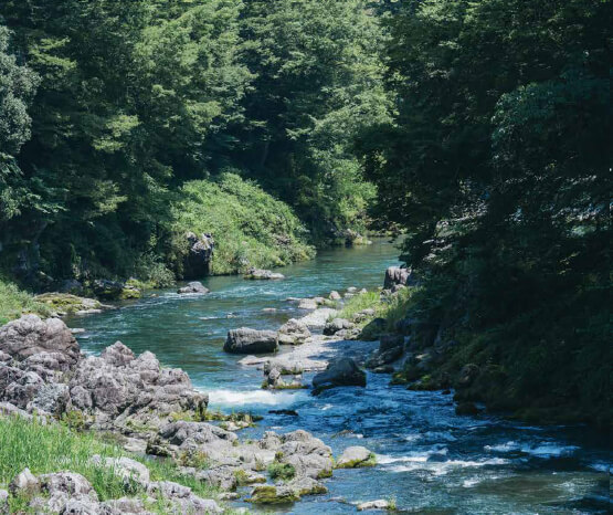 西多摩の風景